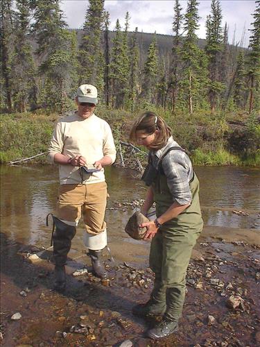 Hosford Creek Water Quality Testing, Yukon-Charley Rivers, 2003