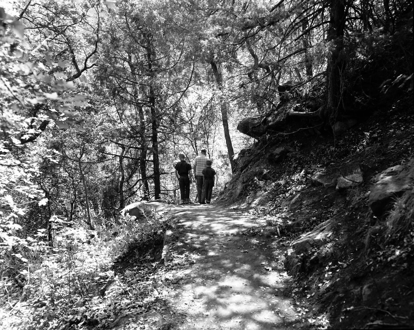 Visitor use in nature study - walking along trail.