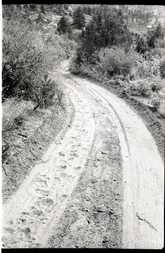 BW photo of the 1937 grazing study 35MM.
