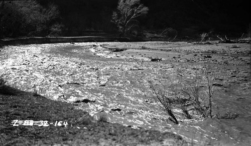 Virgin River in flood stage.