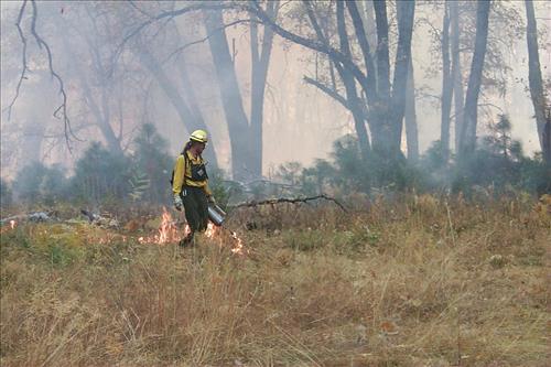 Crews using drip torches to ignite El Capitan prescribed burn, 2000, Yosemite National Park