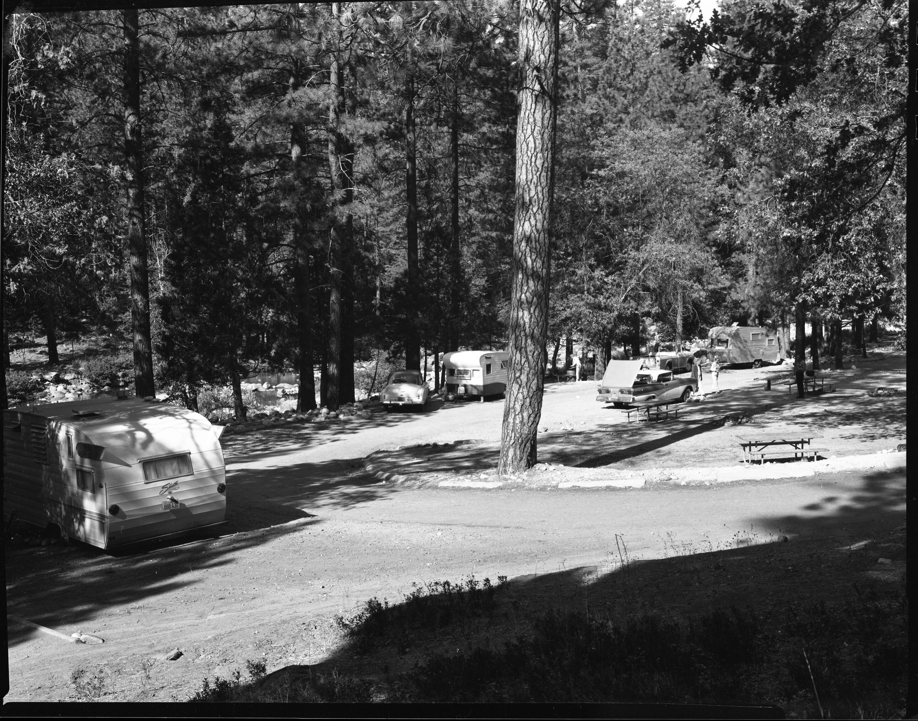 View of road through Wawona Campground and 5 campsites.