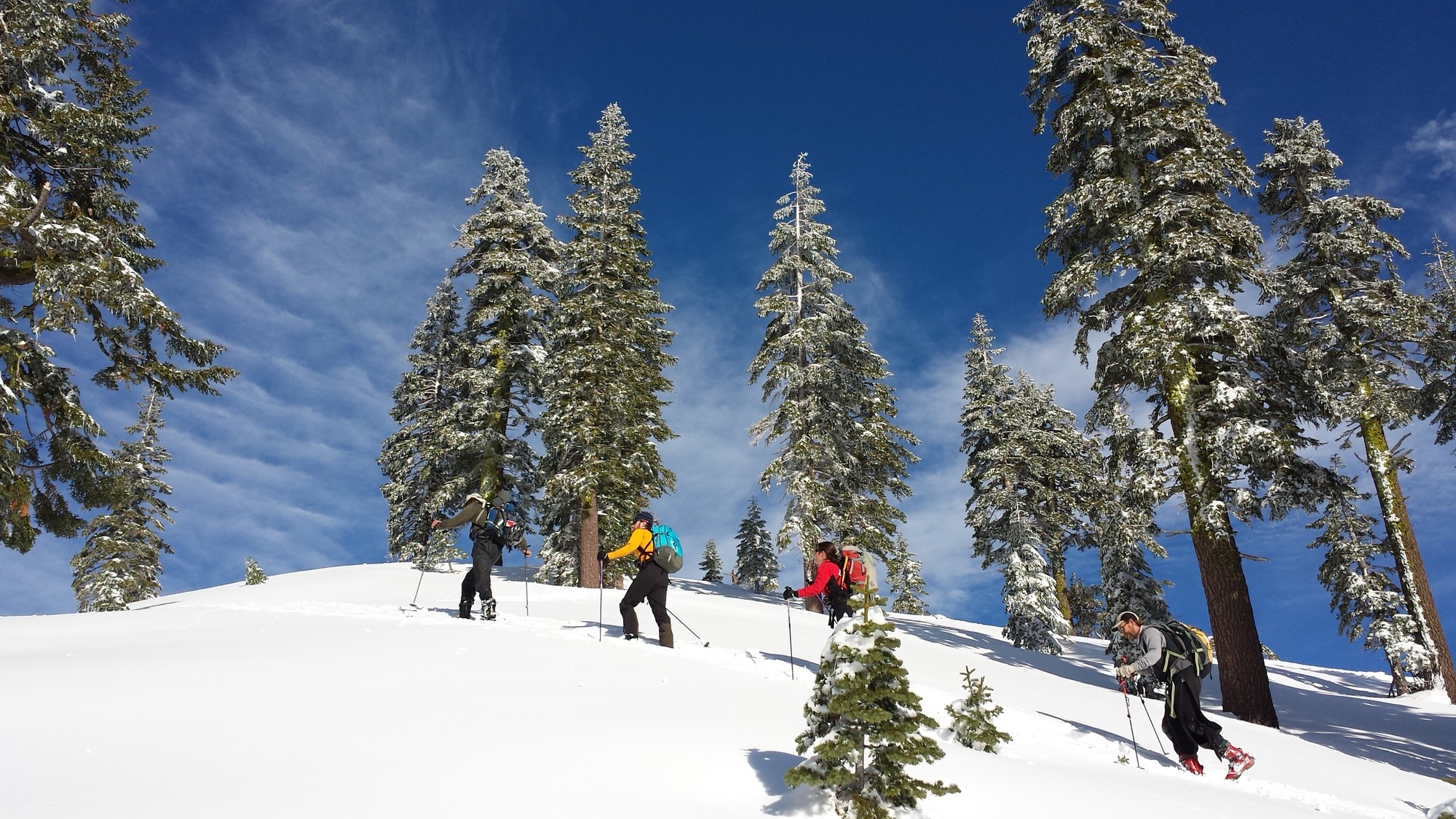 four people in ski boots climb a snowy slope using ski poles