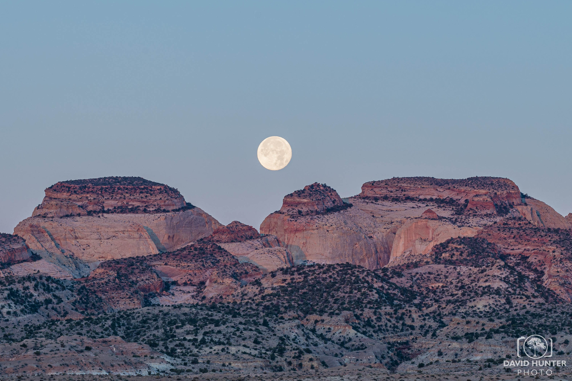 Full moon in pale blue sky, above tan, pink, and red rounded rock formations, with low tan hills and dark green trees below. 