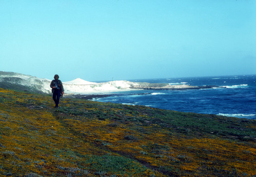 Visitor on San Miguel Island Trail