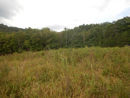 GRSM Accuracy Assessment. Plot Code: GRSM_AA_0633_5