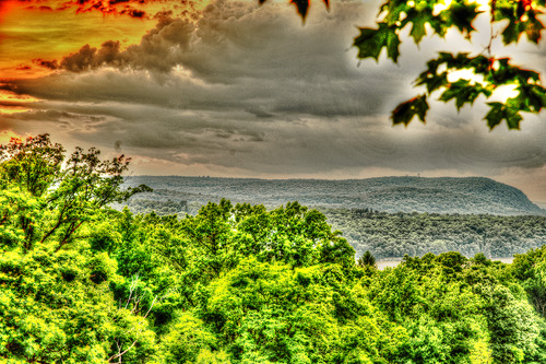 Overlook at Vanderbilt