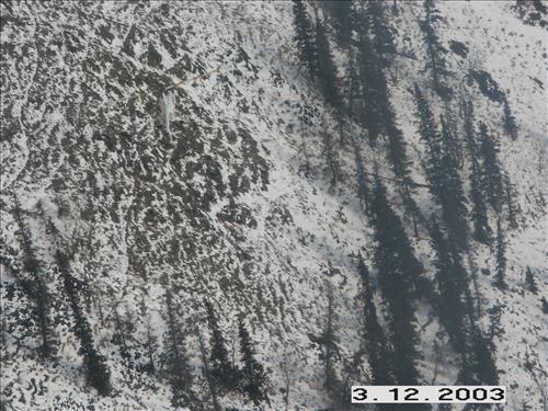 2 Yukon-Charley Rivers National Preserve Wolf Capture 2003