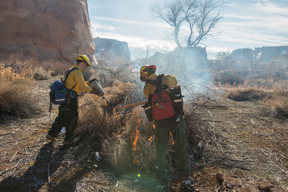 two firefighters hold drip torches above burning vegetation piles
