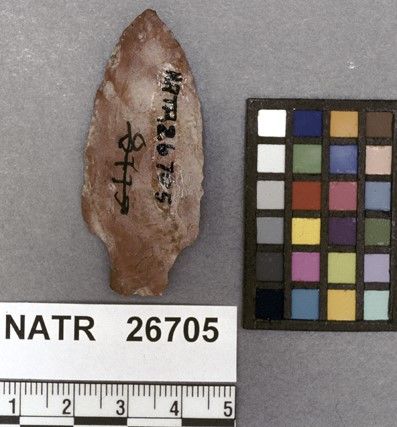 NATR   26705 -- Untyped projectile point