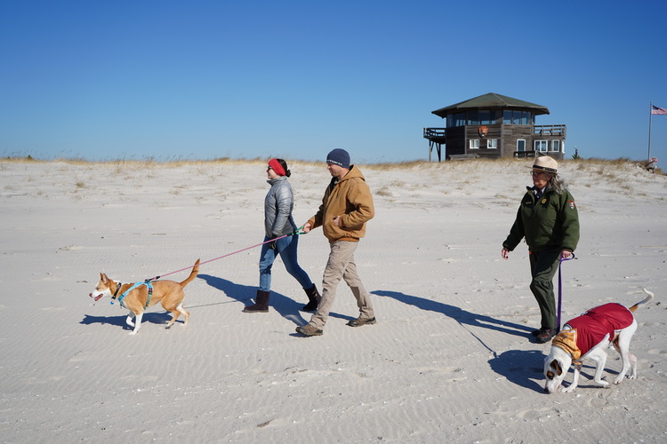 A park ranger and two visitors with dogs walk on the beach.
