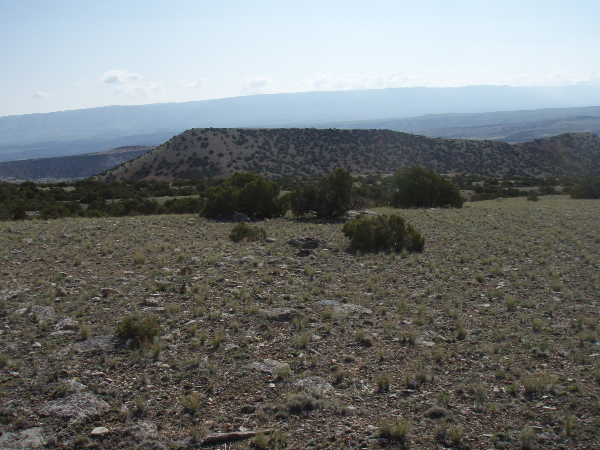 Image of the vegetation and landscape at photo point in Bighorn Canyon NRA 