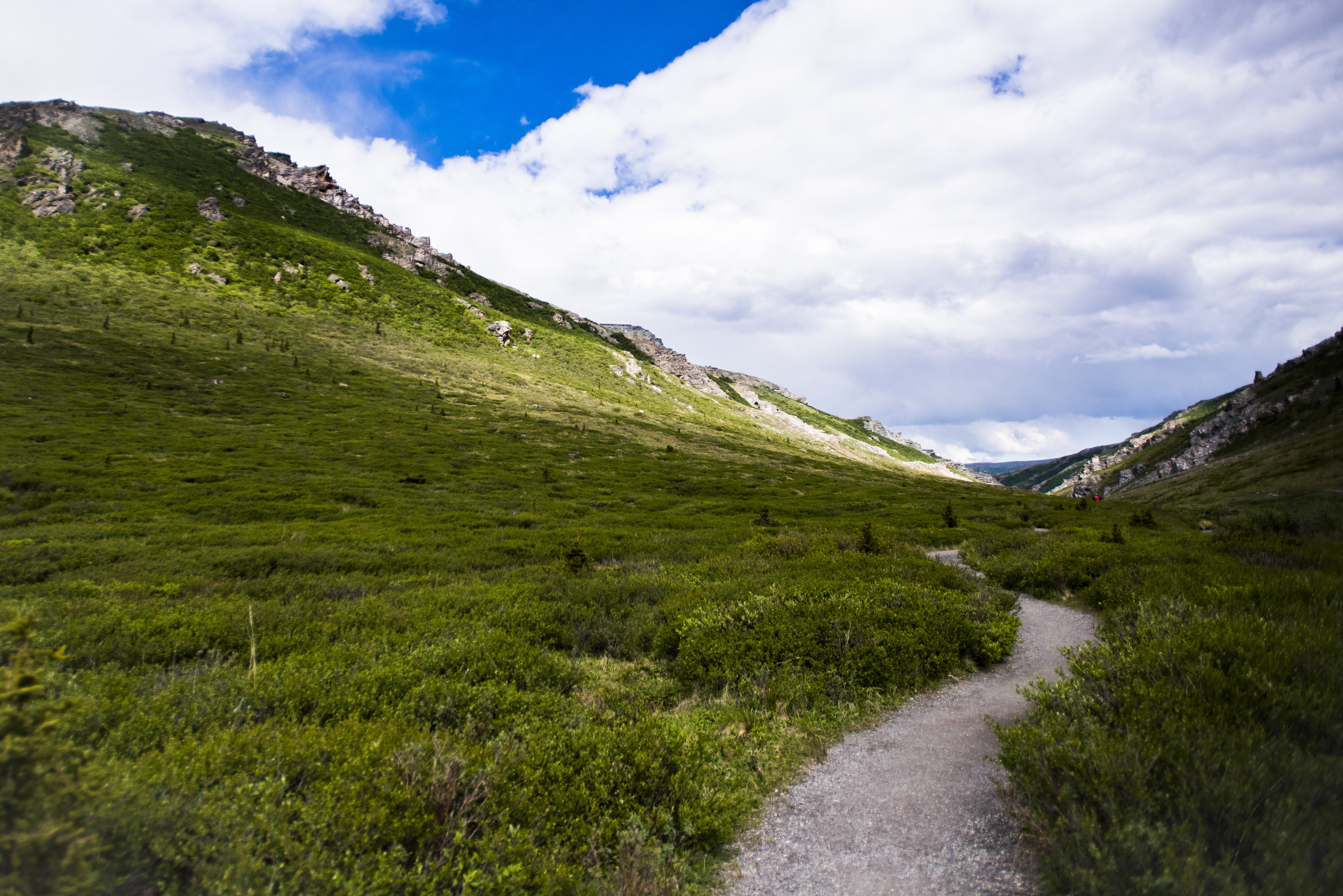 a narrow trail at the base of a mountain