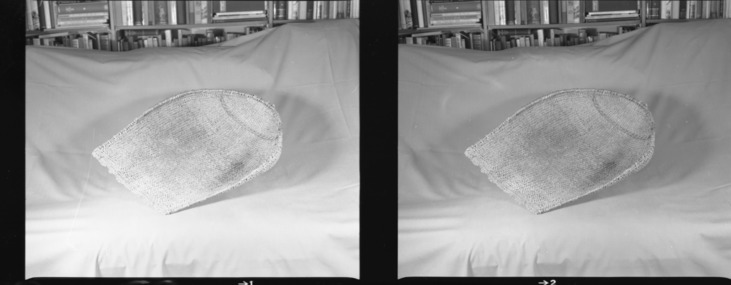 Private Collection. Object: Costanoan basket. Dimensions: 56 x 42 cm. Materials: sedge root, equisetum root, unidentified shoots, rimstick unidentified (red bark). Technology: Starts with one row of plain twining, up to right slant of turns, then row of bound weave three rows of plain twining with alternate slants of turns, body of basket in diagonal twining, with one tow of plain twining 13 cm from start, wrapped & stitched rim finish. All ends appear on the work face. Photographed by Michael Dixon. Catalogued by Craig Bates and Barbara Beroza. Yosemite Collections, National Park Service.