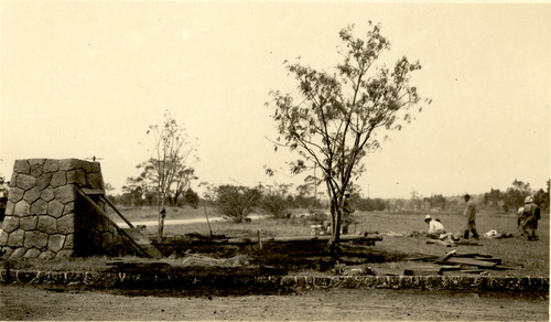 Black and white. A group of men transplanting trees near a road with stone edges