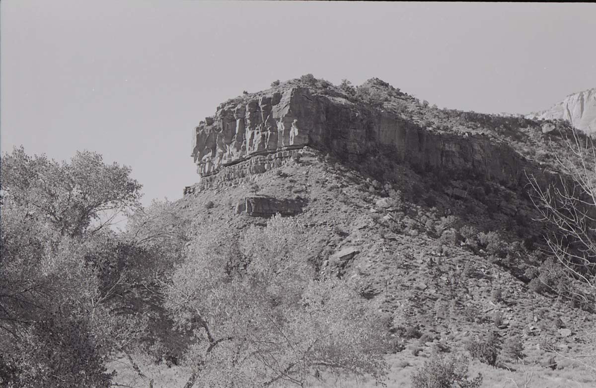 BW photo of the 1937 grazing study 35MM.