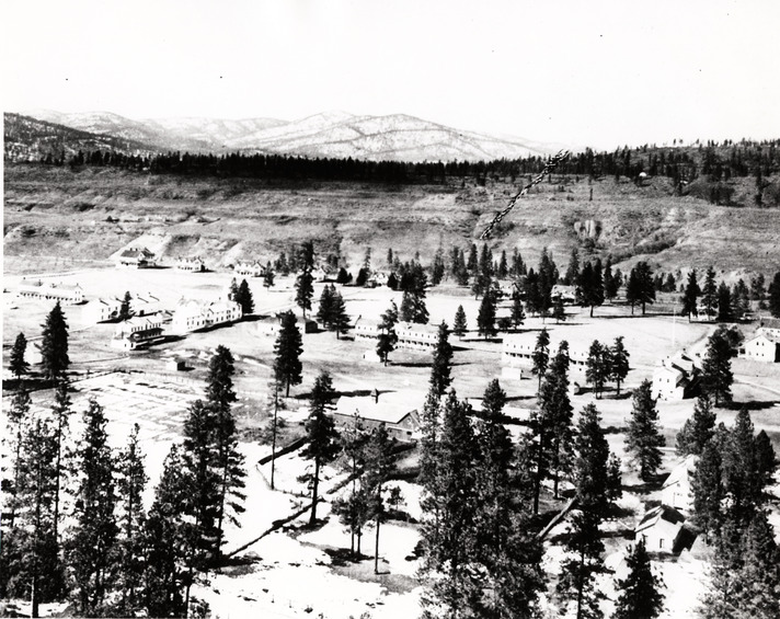 Black and white photograph of trees and buildings in a wide valley
