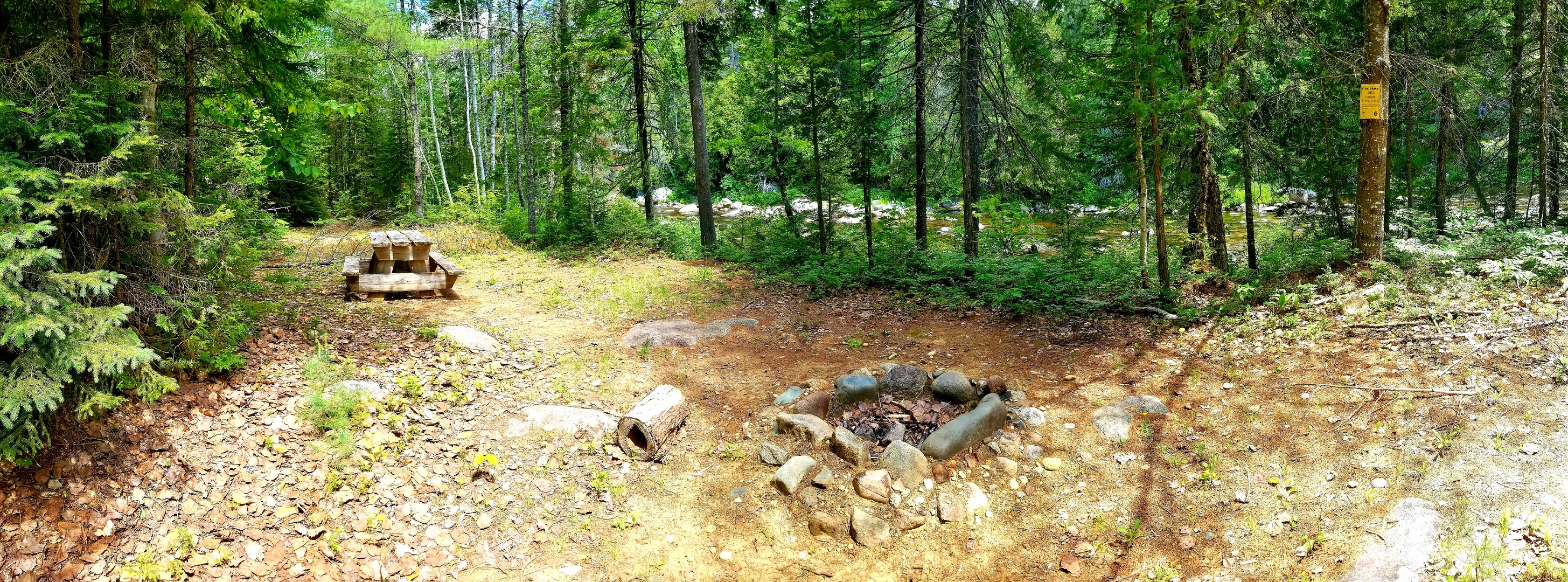 Panoramic image of a camping area with picnic table and fire pit, surrounded by woods.