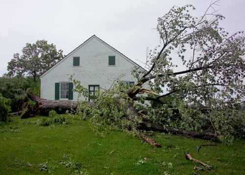 Tree Down at Dunker Church