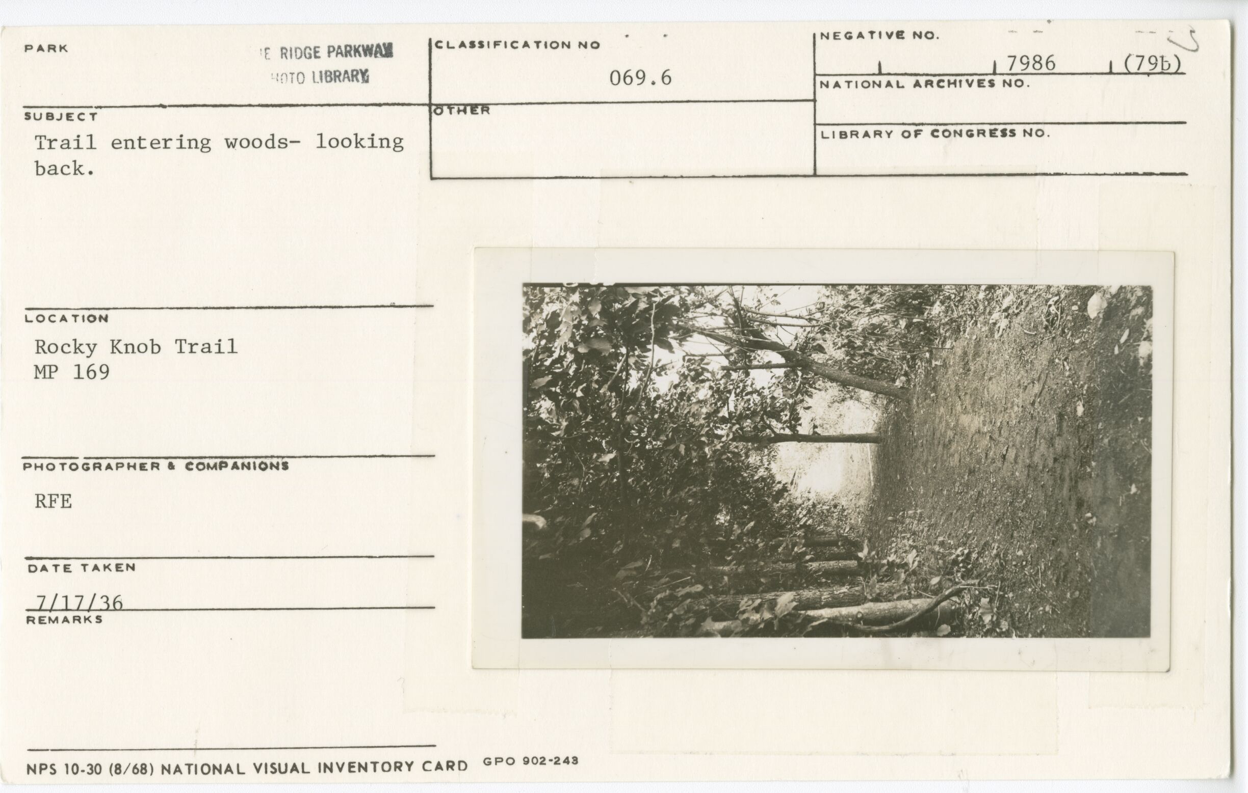 Trail entering woods looking back