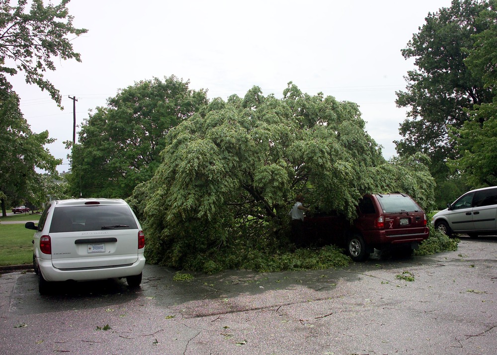 Trees Down at the Visitor Center