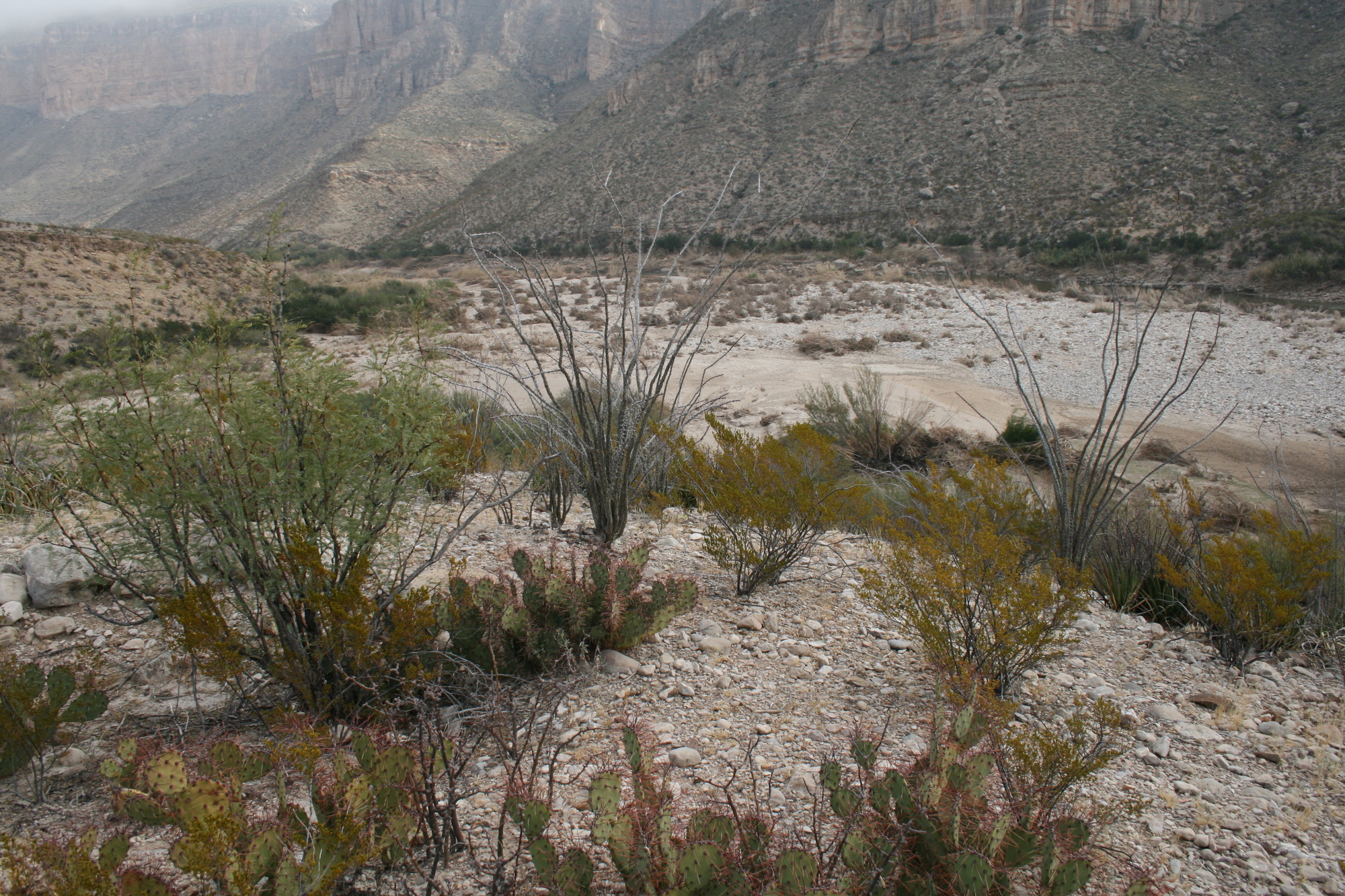 Photo of the Rio Grande
