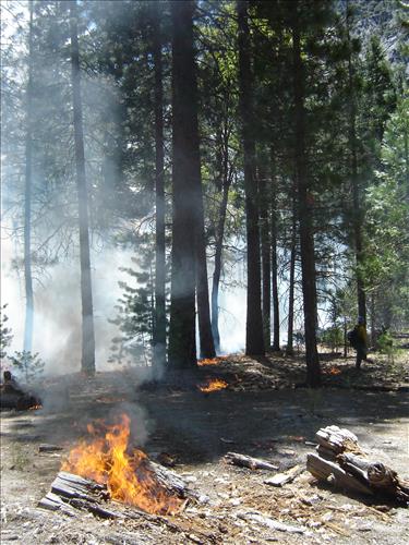 Roads End Prescribed Fire, Sequoia and Kings Canyon National Parks, May 2005