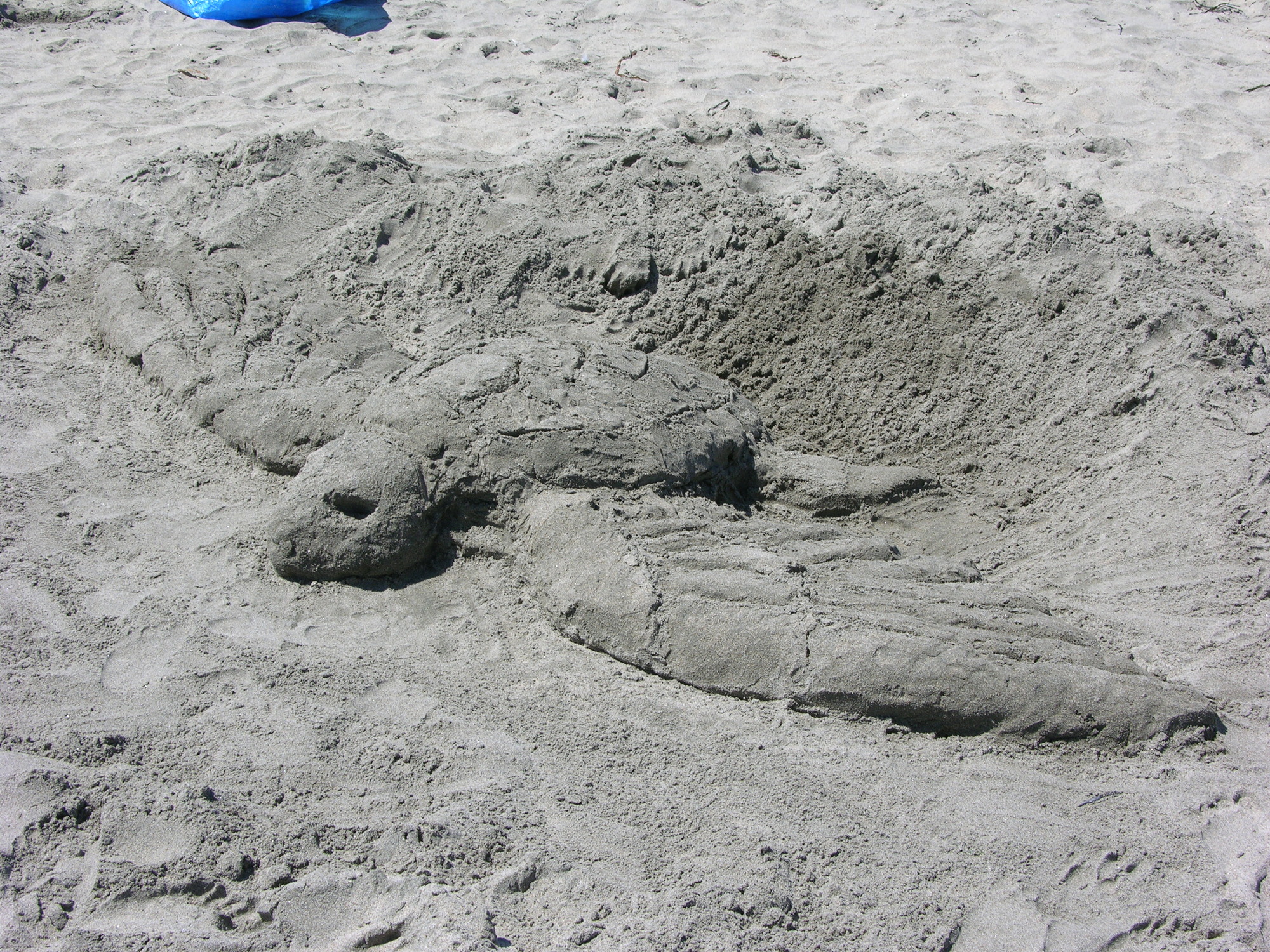 A sand sculpture of a sea turtle with feathered, bird-like pectoral fins.