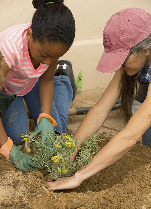 a young person and an adult in a pink hat plant a bladderpod together