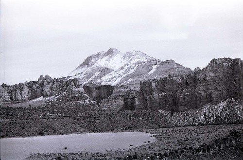 BW photo of the 1937 grazing study 35MM.