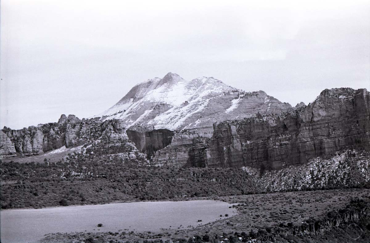 BW photo of the 1937 grazing study 35MM.