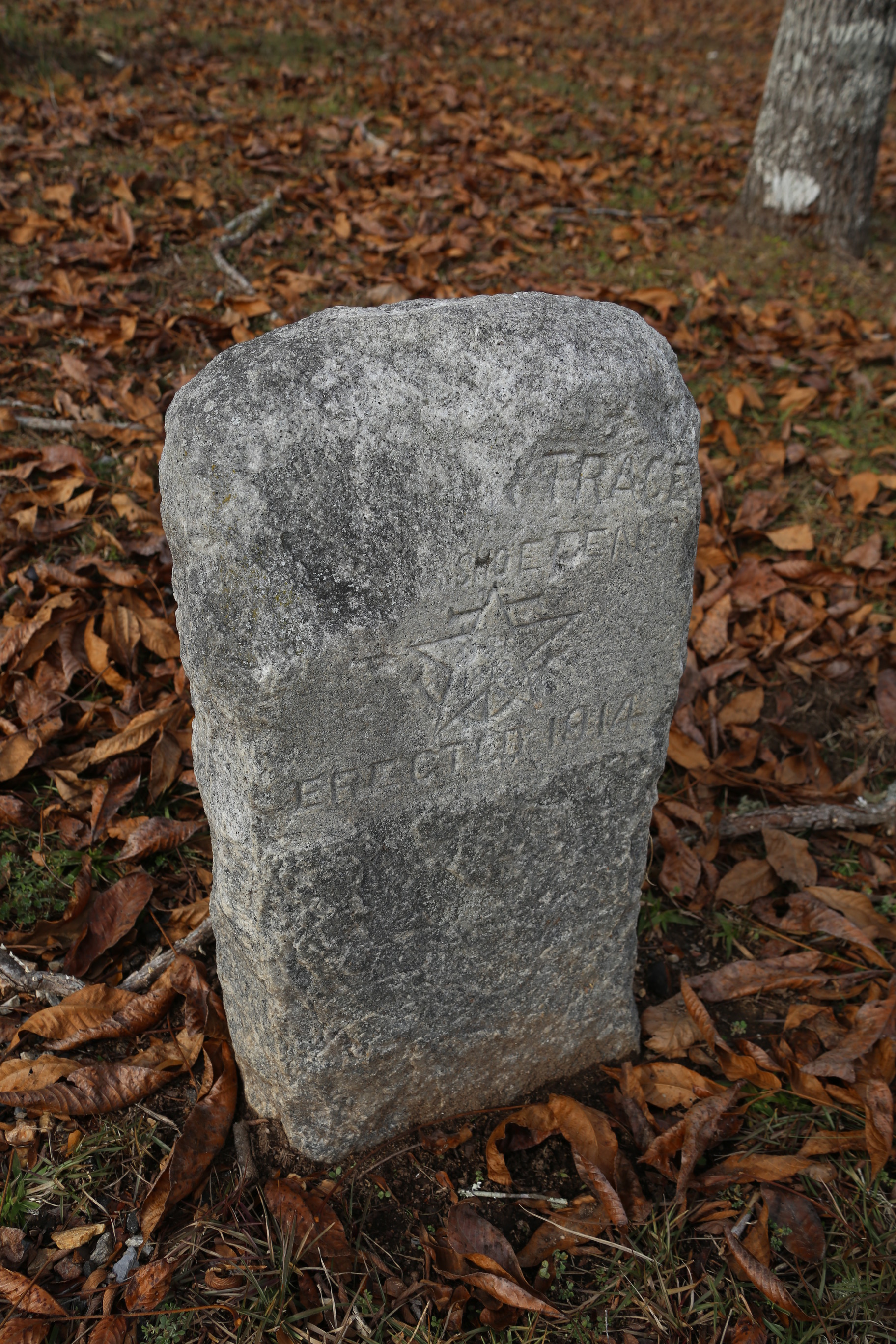 worn stone marker surrounded by brown leaves; inscription not entirely readable, but can make out "...trace...shoe Bend...erected 1914"