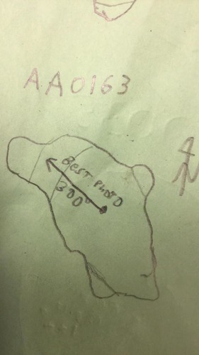 GRSM Accuracy Assessment. Plot Code: GRSM_AA_0163_map