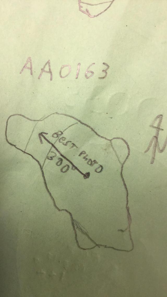 GRSM Accuracy Assessment. Plot Code: GRSM_AA_0163_map