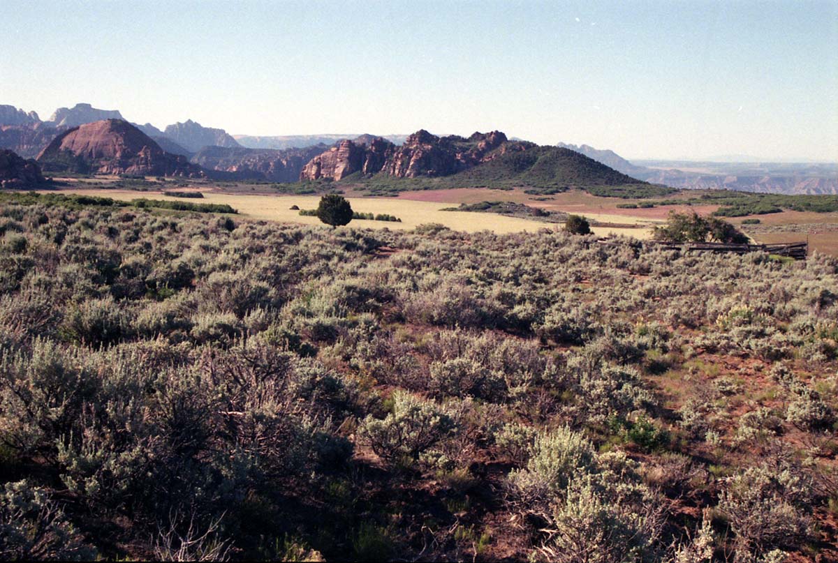 Color Photos of Cave Valley area.