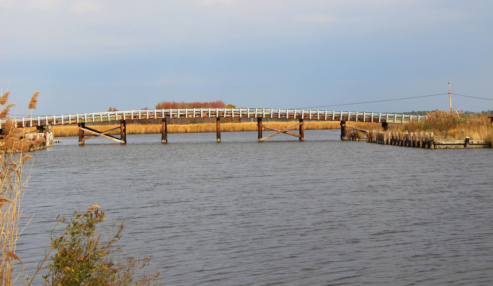 A wooden bridge on wooden pylons spanning a creek with marsh grasses on either side