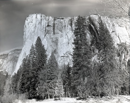 Valley Visitor Center Exhibit 10-8