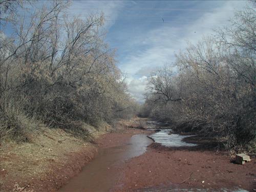 Hubbell Trading Post Exotic Species Pile Burning, February 2002