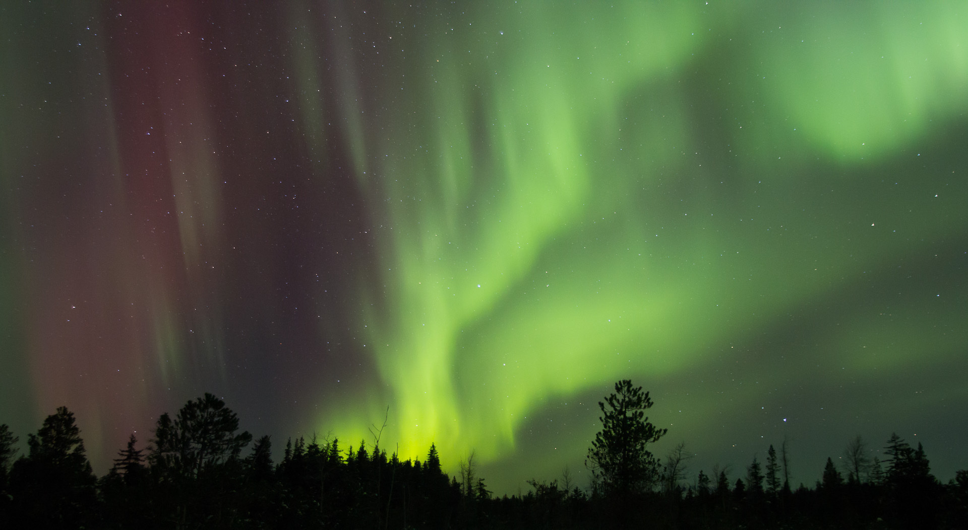 Green and red aurora with trees silhouetted against it