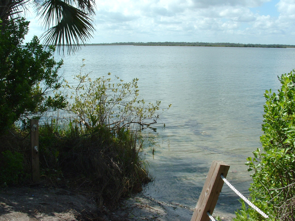 Image of mosquito lagoon