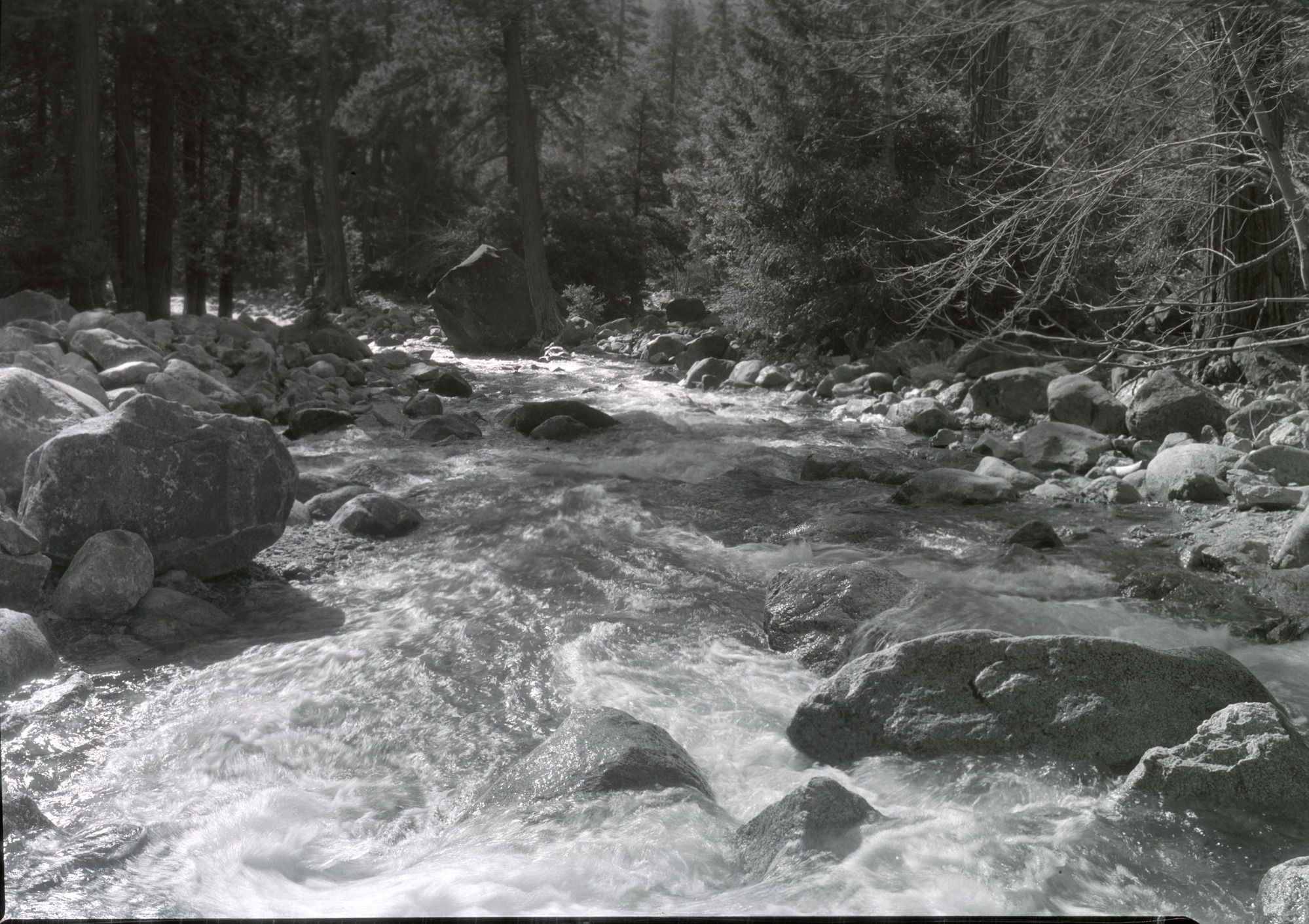 Yosemite Creek after CWA rock removal.