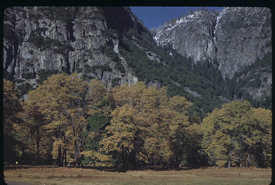 Indian Canyon, Sentinel Meadow