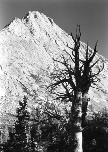 Vogelsang Pk. at sunset