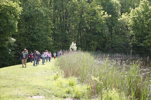 CVEEC Girl Scouts pond exploration 2