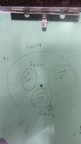 GRSM Accuracy Assessment. Plot Code: GRSM_AA_0134_map