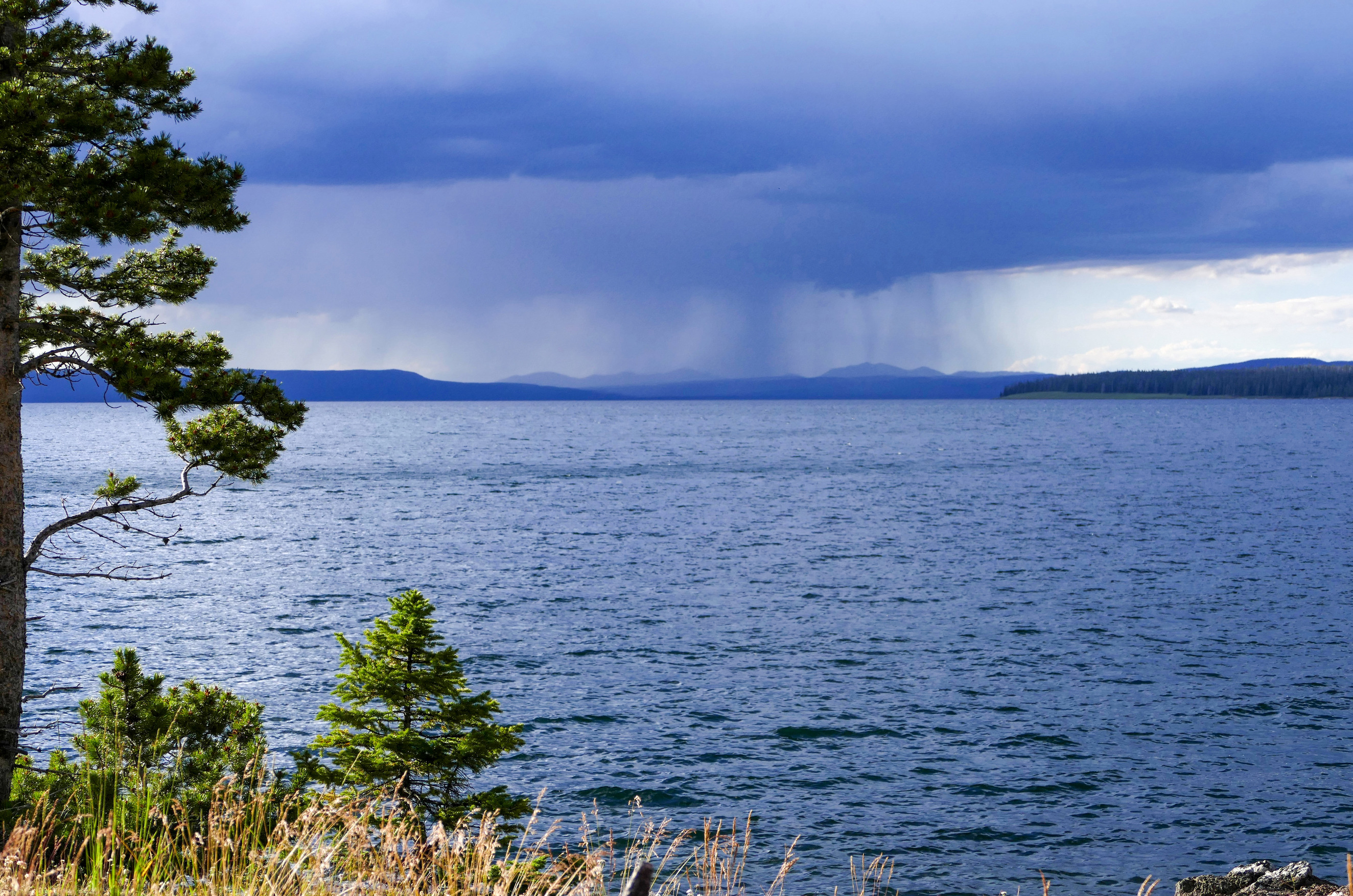 Looking across a semi choppy lake at rain falling from the clouds in the distance.