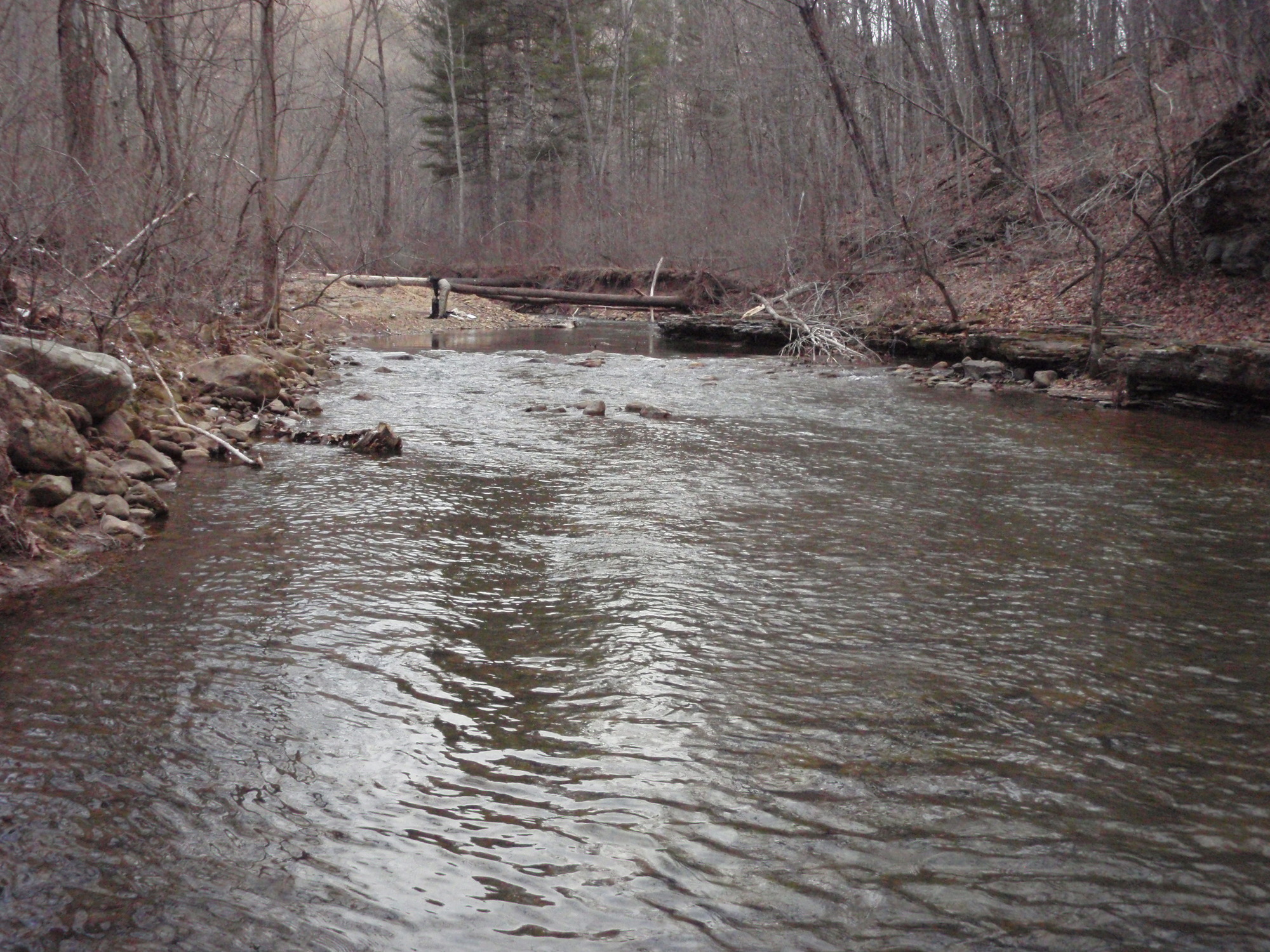 Site visit photo showing the upstream (UP) or downstream (DN) view of a wadeable stream reach taken during benthic macroinvertebrate monitoring at Bluestone National Scenic River.