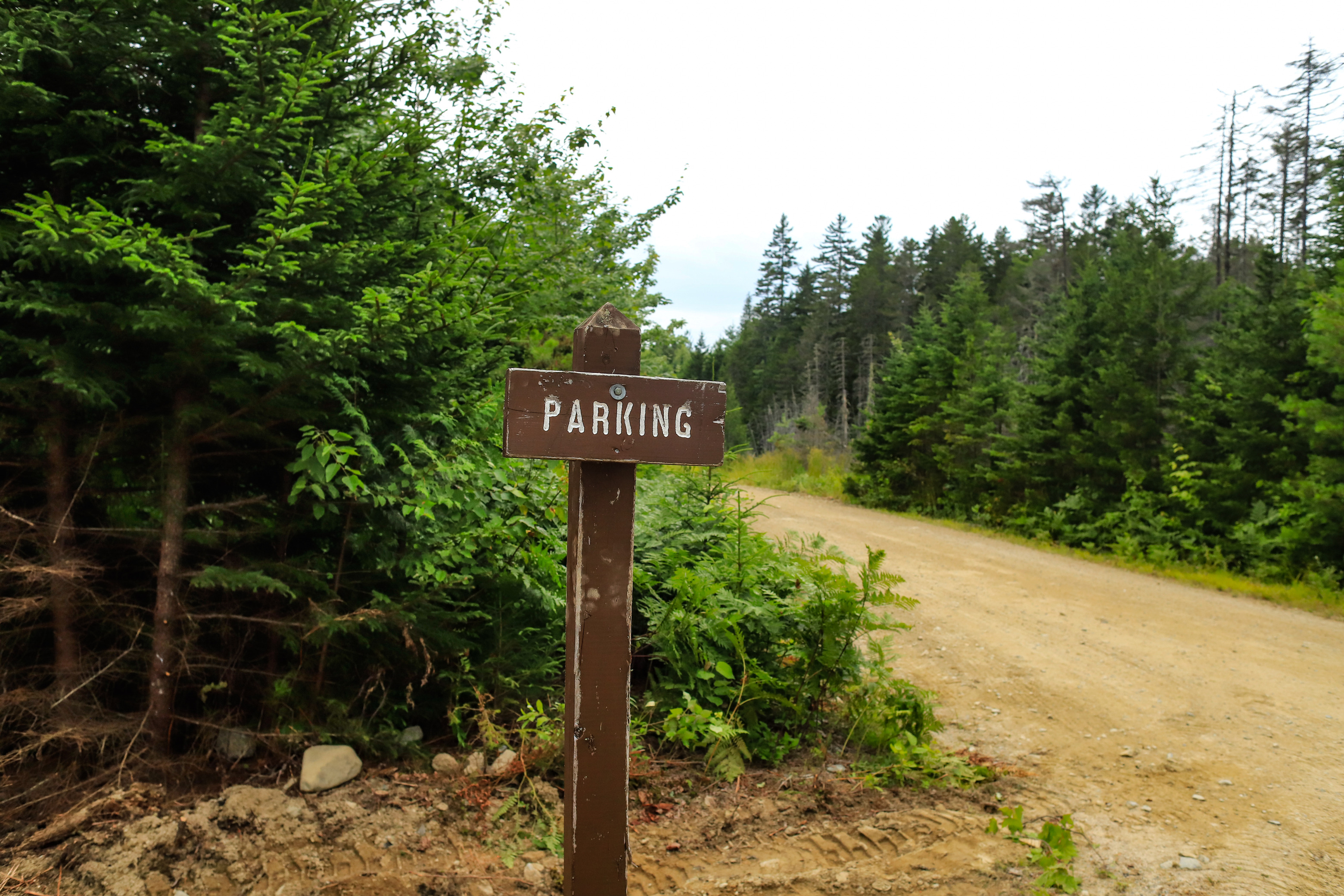 A brown wooden sign on a post reads "Parking"