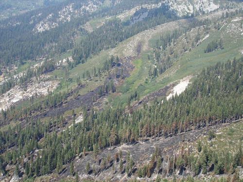 Images of the Comb Complex wildland fire use project taken from park helicopter, Sequoia and Kings Canyon National Parks, summer 2005