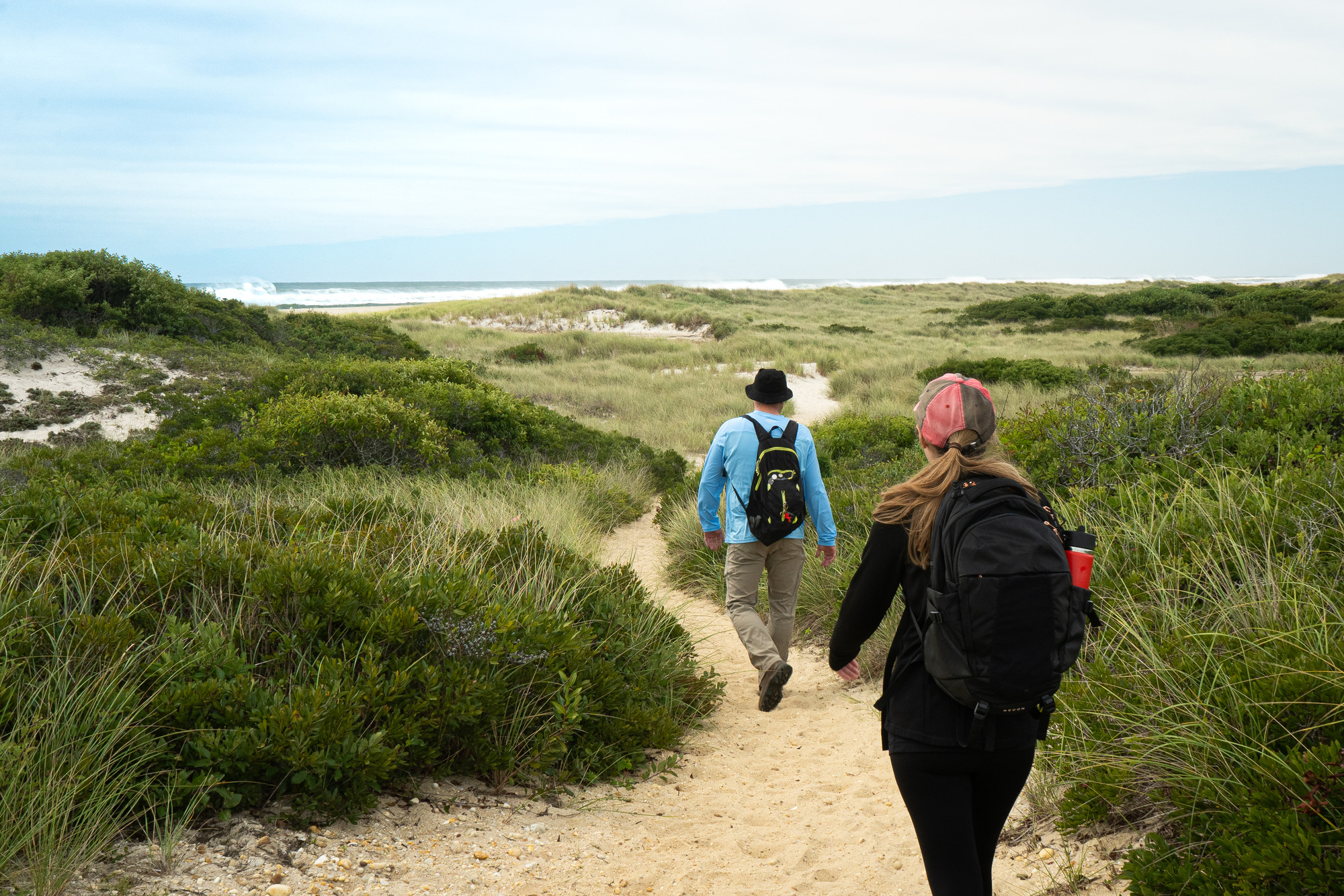 Two hikers walk a sandy path lined by beach vegetation with the ocean in view at the horizon.